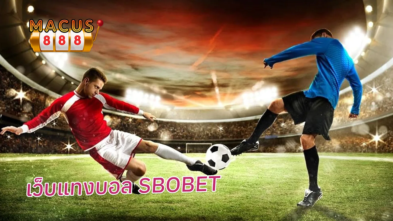 เว็บแทงบอล SBOBET